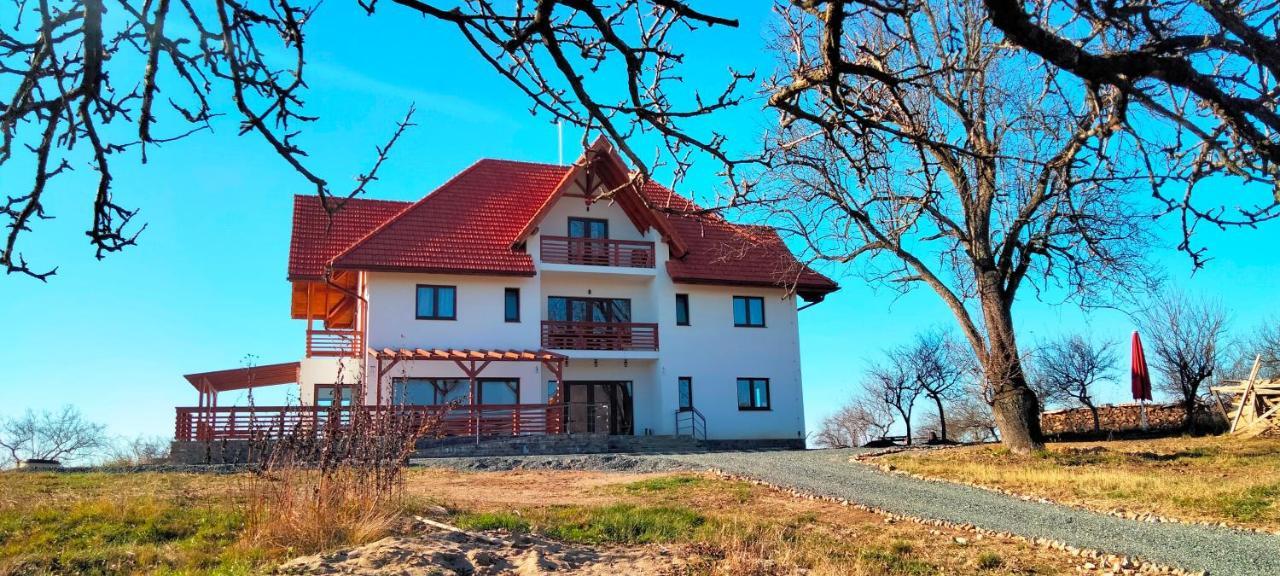 Surdesti Casa Comilor住宿加早餐旅馆 外观 照片